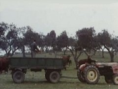 VIDEOS SWF GIF PREVENCION  TRACTOR 01